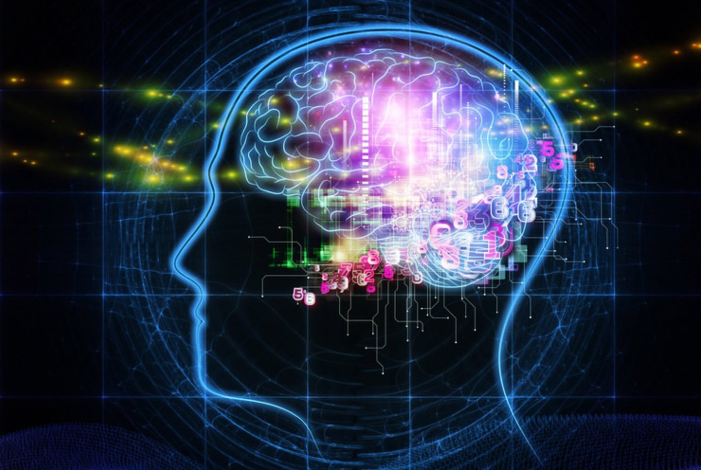 brain lab